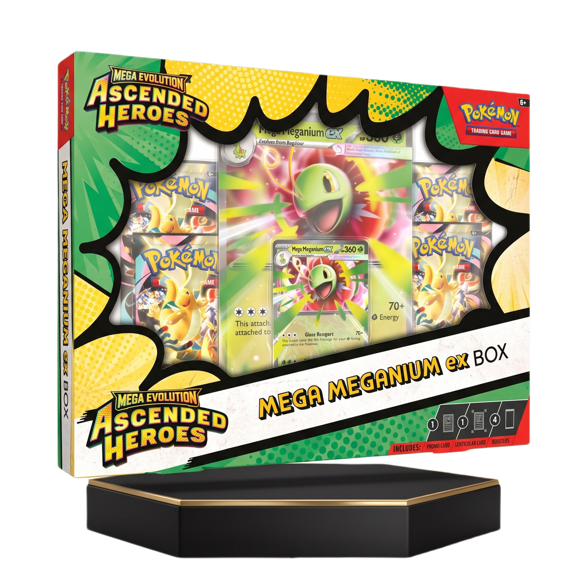 Mega Meganium ex Box